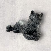 Jaguar mediano
