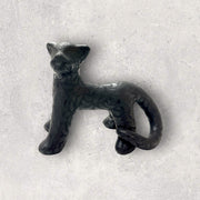 Jaguar mediano