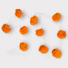 Tira 10 flores de cempasúchil